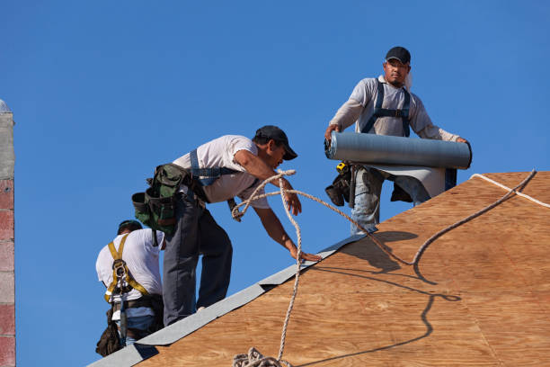 Best Storm Damage Roof Repair  in Ironde, AL